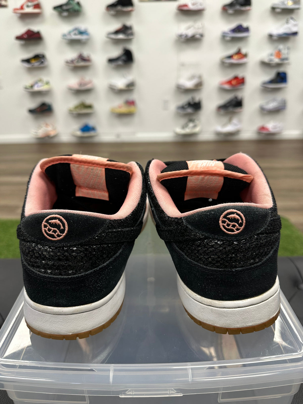 Nike SB Dunk Low Premier Fish Ladder
