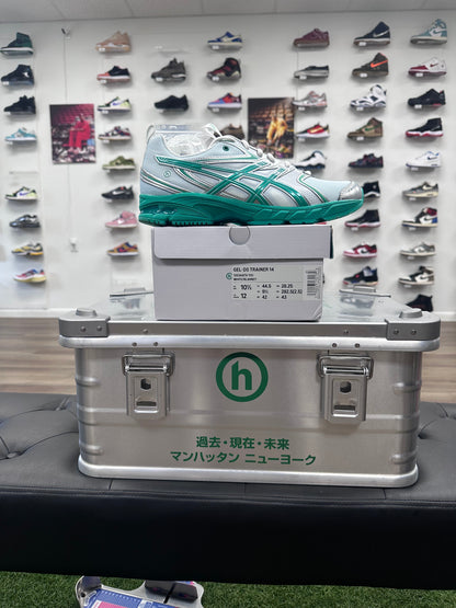 ASICS Gel-DS Trainer 14 Hidden NY Dawn (Special Box)