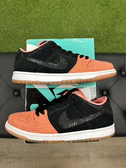 Nike SB Dunk Low Premier Fish Ladder
