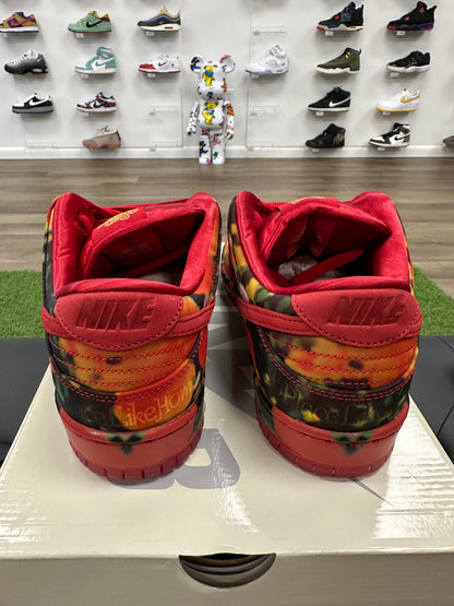 Nike SB Dunk Low The Wizard of Oz Poppy Field - Size 9