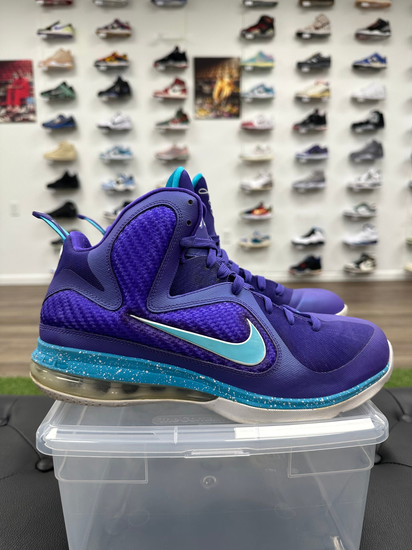 Nike LeBron 9 Summit Lake Hornets - Size 10 (U)