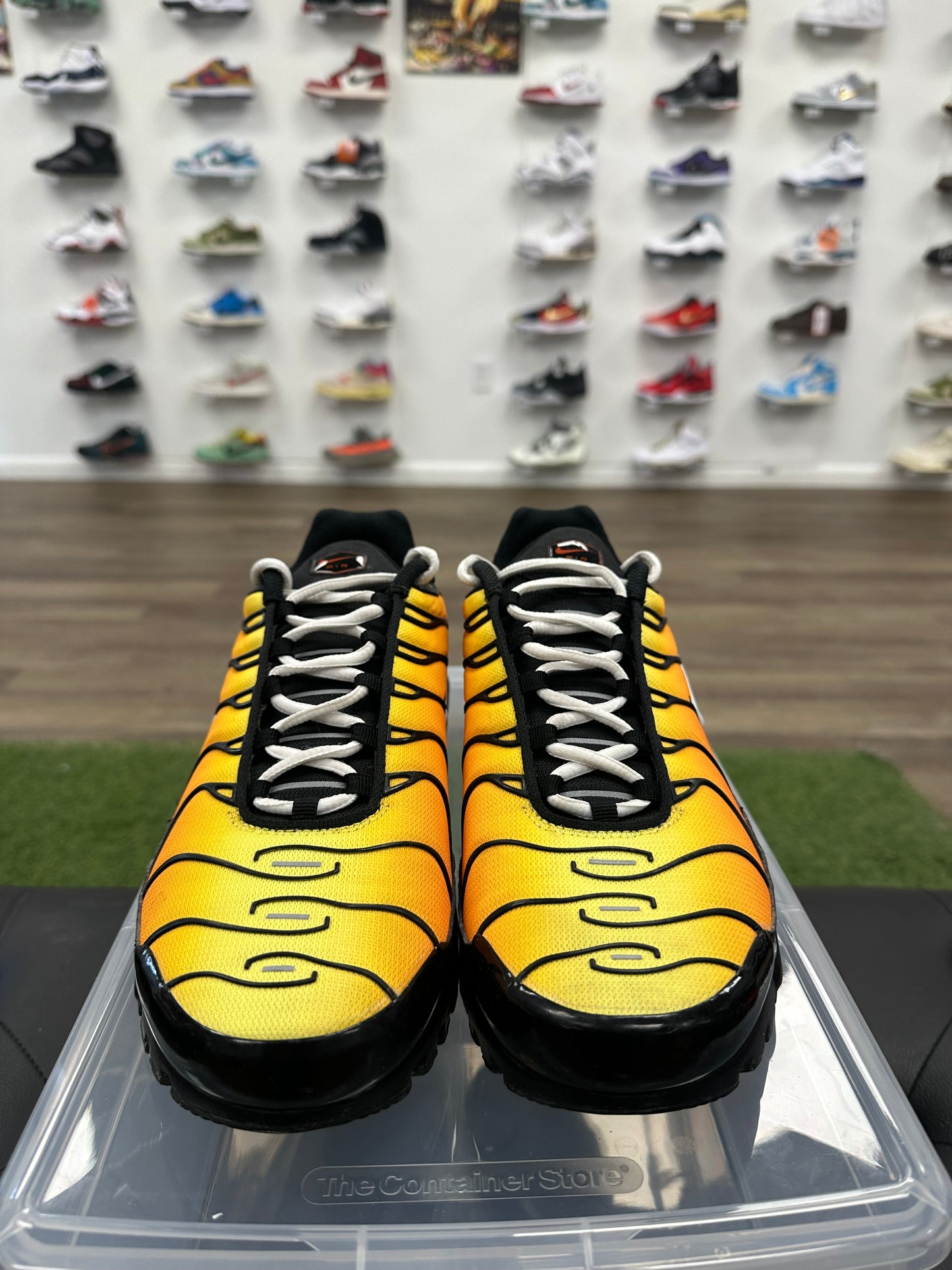 Nike Air Max Plus Tiger - Size 10.5 (U)