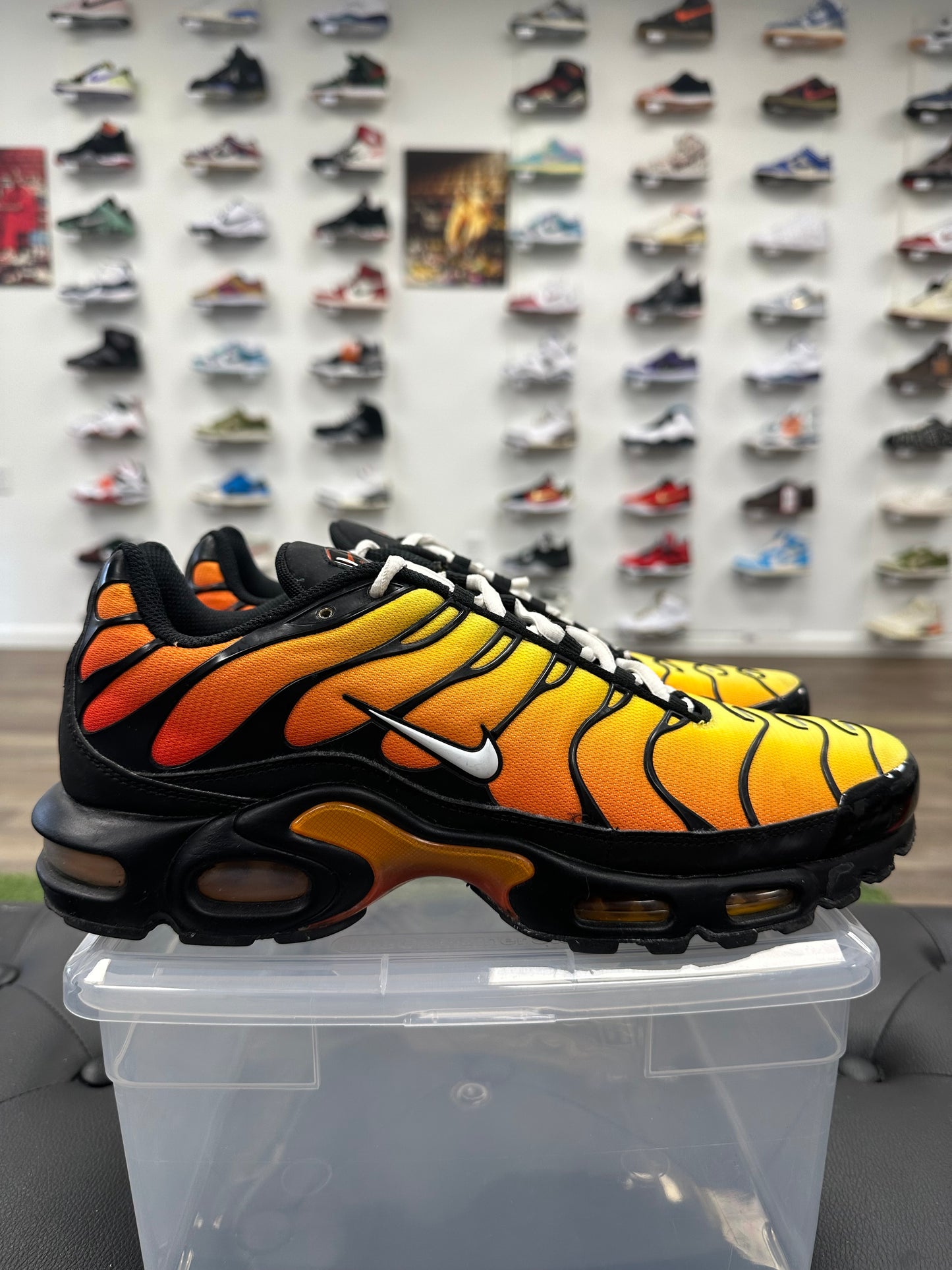 Nike Air Max Plus Tiger - Size 10.5 (U)