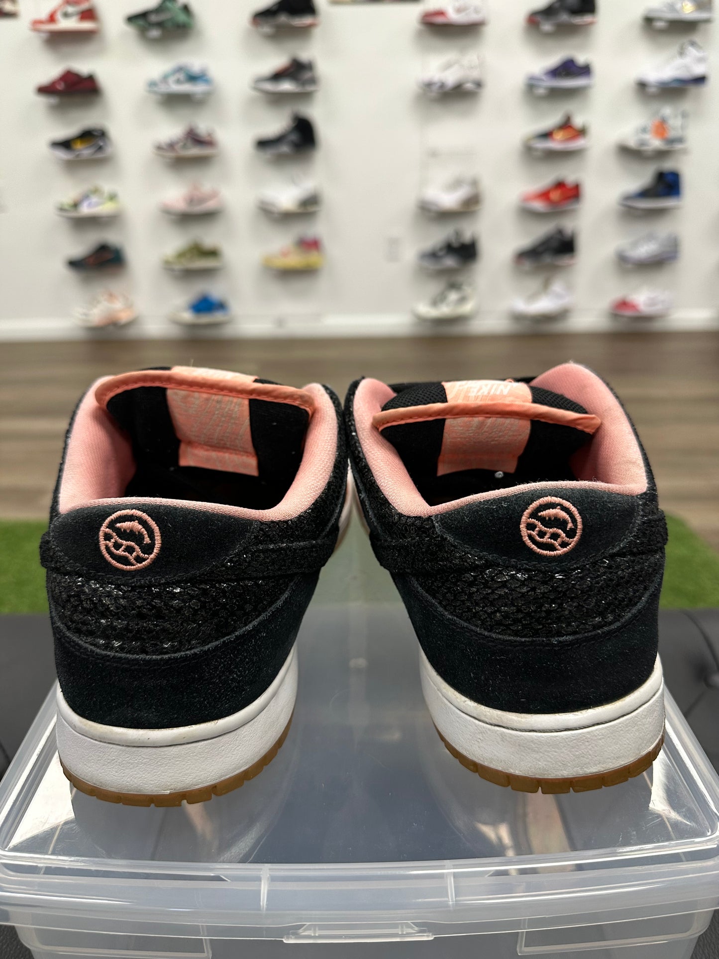 Nike SB Dunk Low Premier Fish Ladder - Size 11 (U)