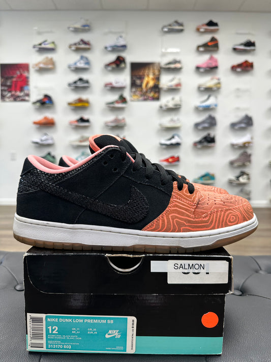 Nike SB Dunk Low Premier Fish Ladder - Size 12 (U)