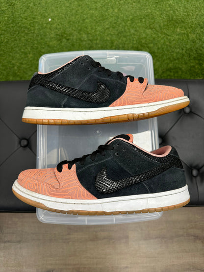 Nike SB Dunk Low Premier Fish Ladder