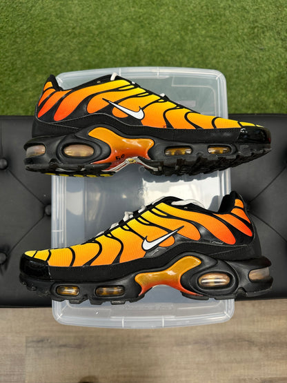 Nike Air Max Plus Tiger - Size 10.5 (U)