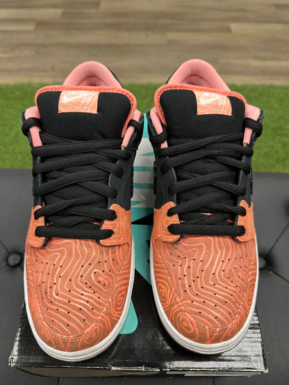 Nike SB Dunk Low Premier Fish Ladder - Size 12 (U)