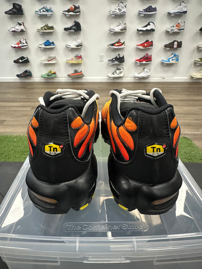 Nike Air Max Plus Tiger - Size 10.5 (U)