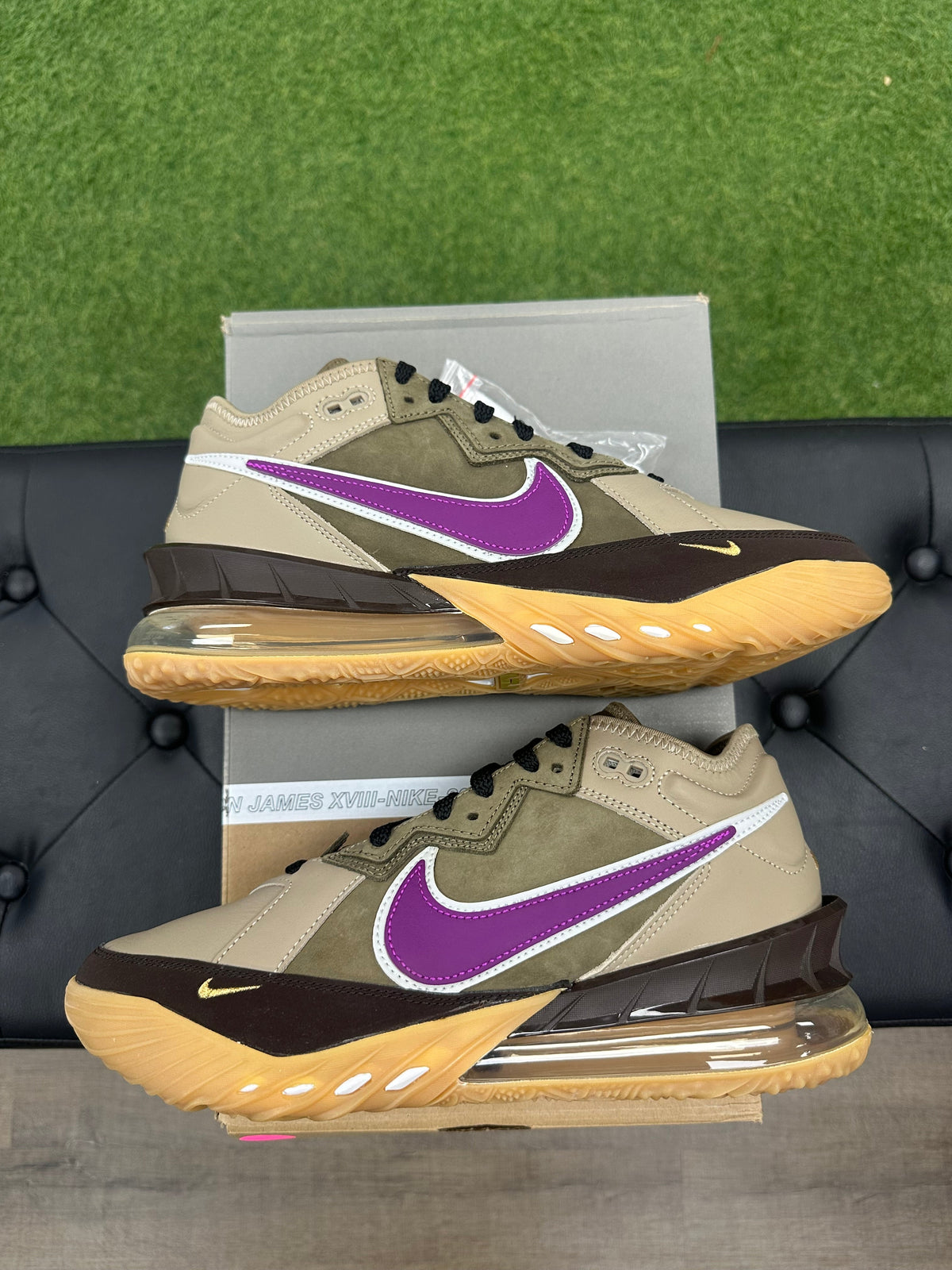 Nike LeBron 18 Low atmos Viotech