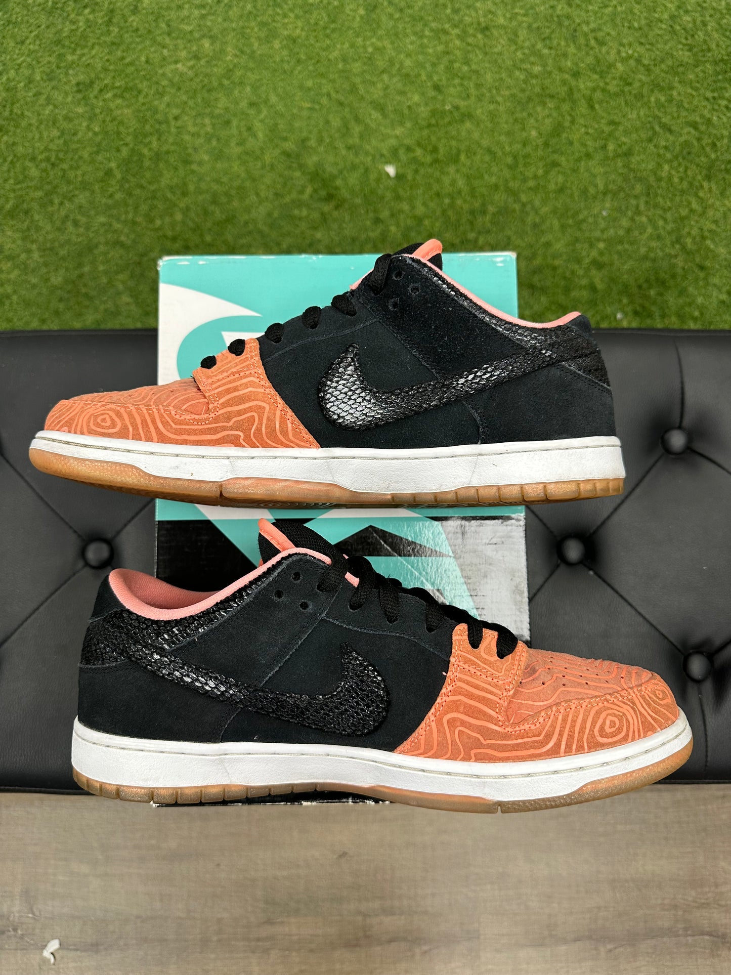 Nike SB Dunk Low Premier Fish Ladder - Size 12 (U)