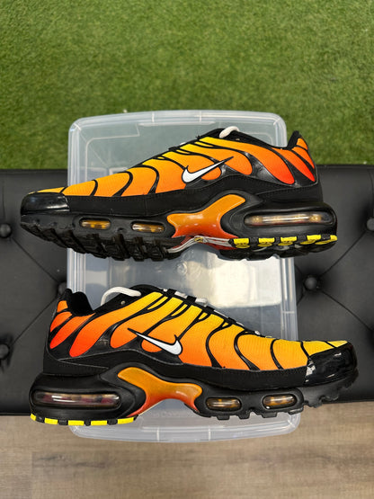 Nike Air Max Plus Tiger - Size 10.5 (U)