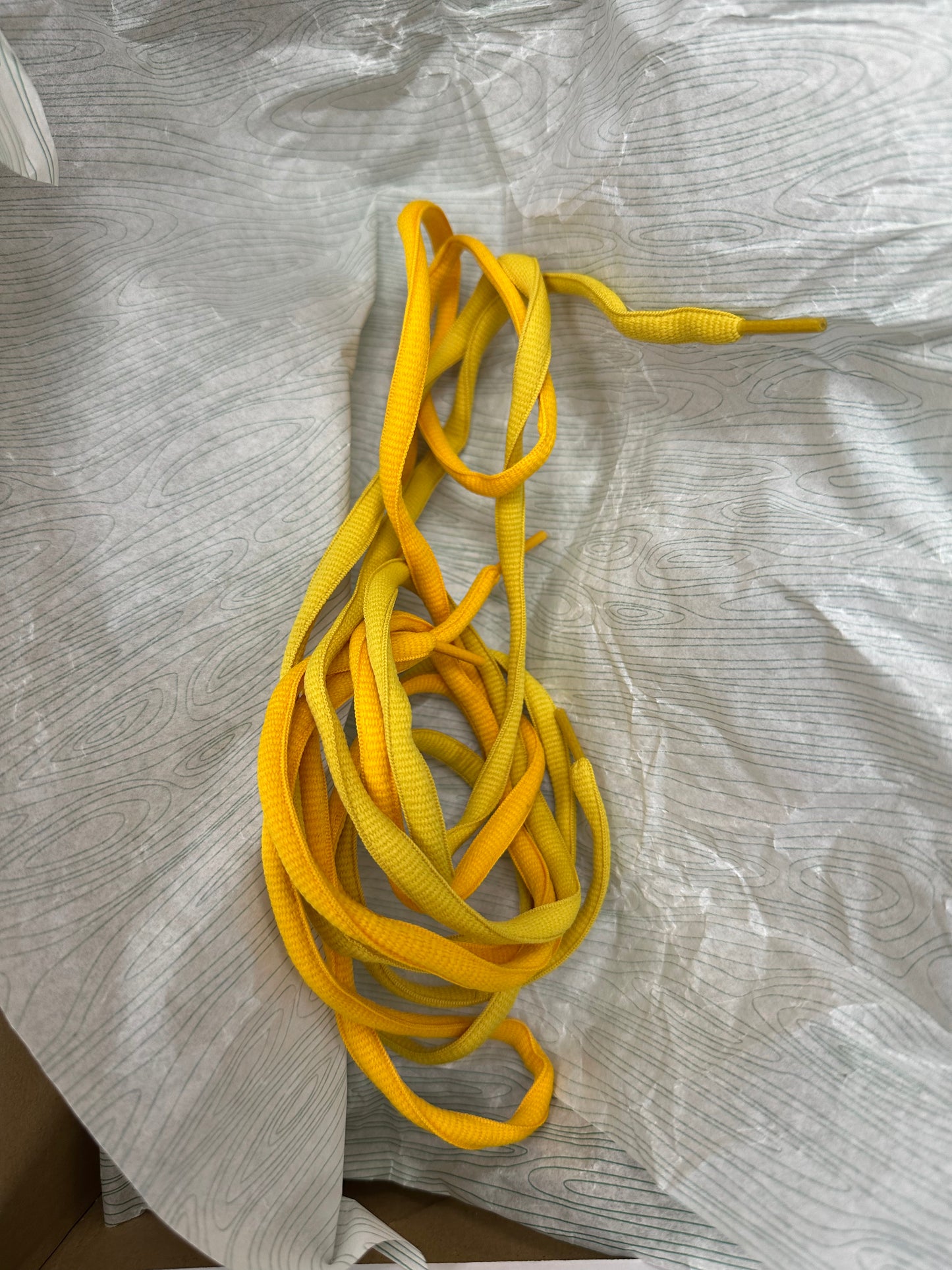 Nike SB Dunk High Pineapple - Size 12 (U)