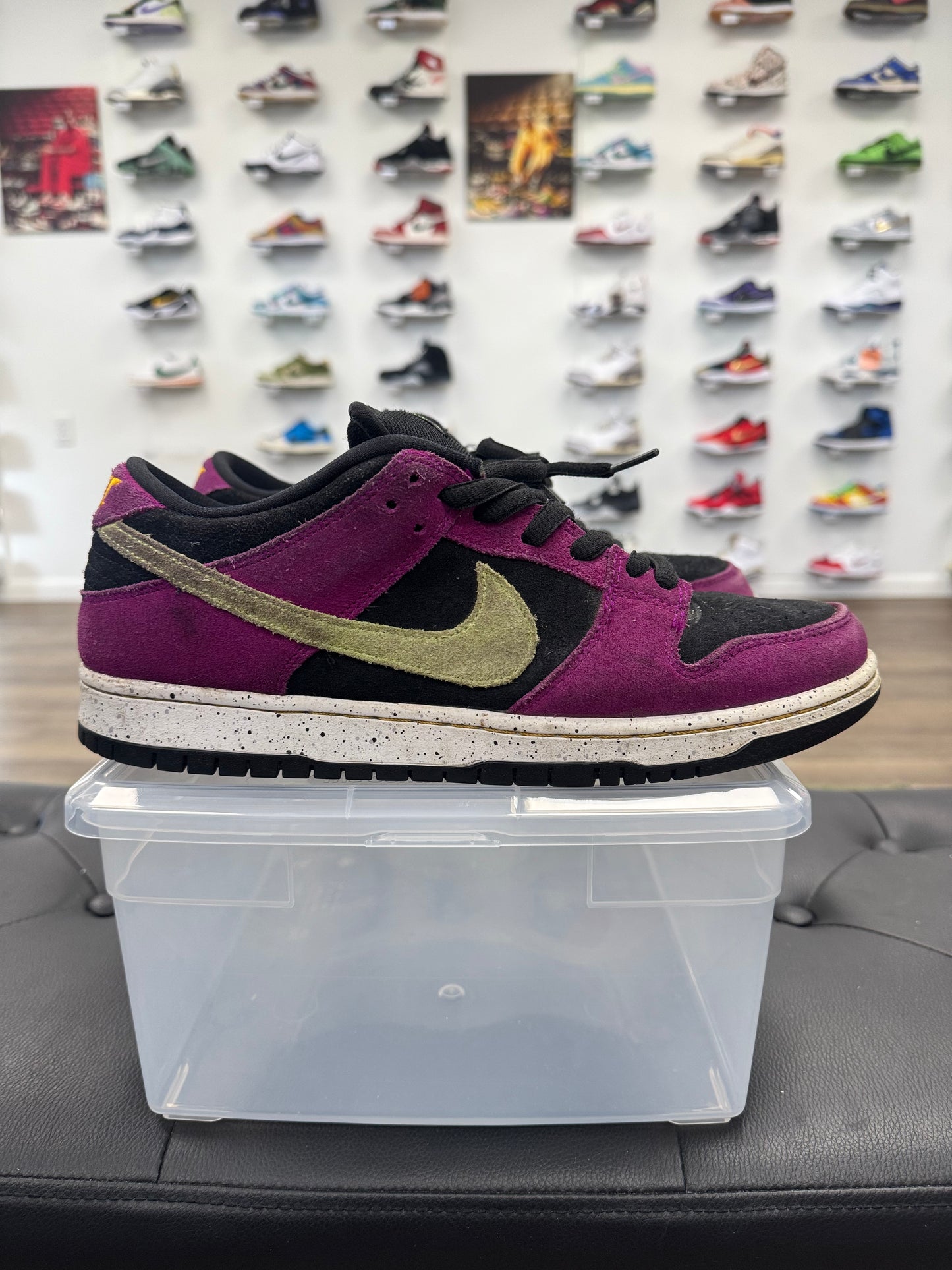 Nike SB Dunk Low Pro ACG Terra Red Plum - Size 10 (U)