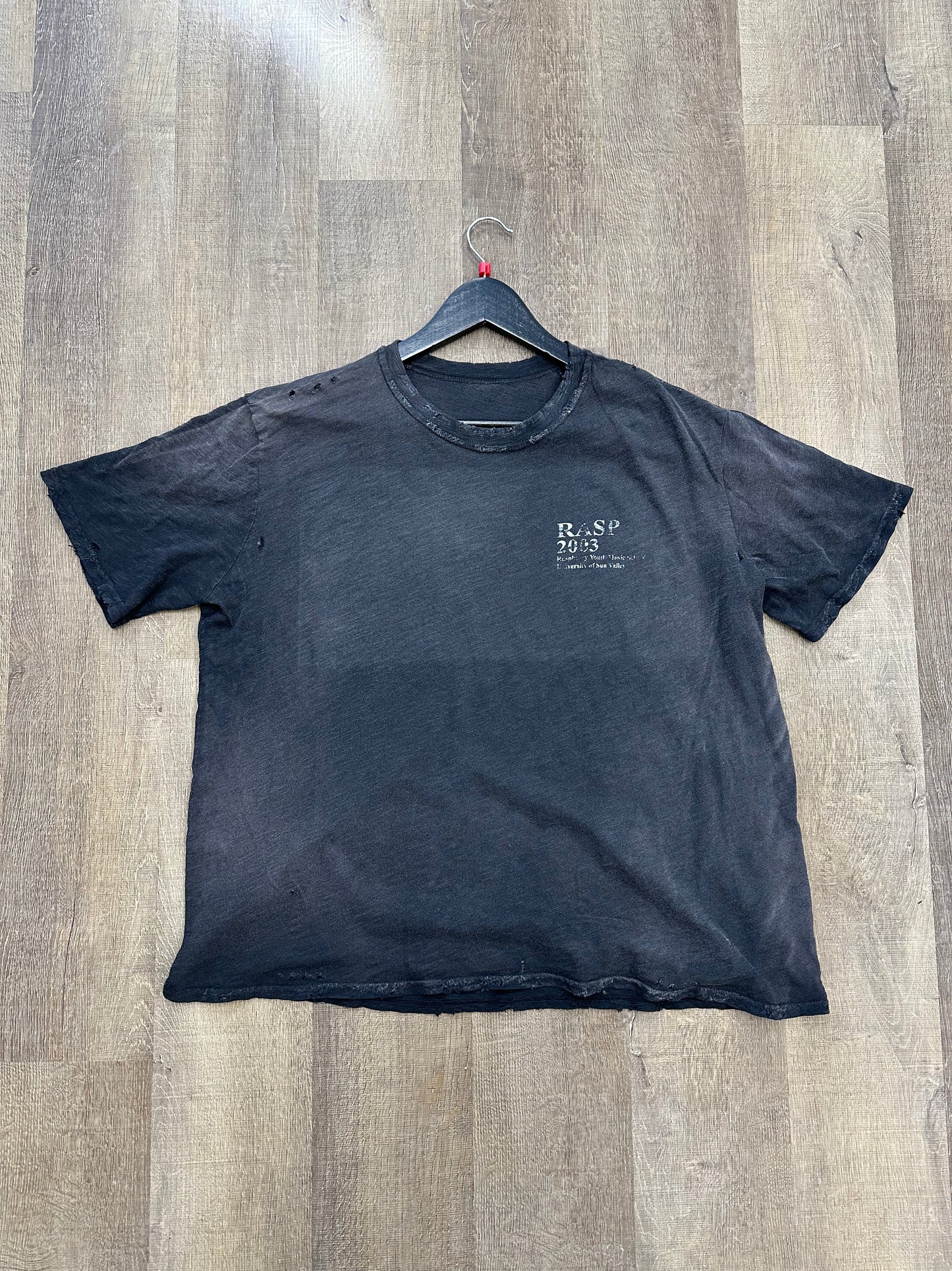 GV Gallery Raspberry Hills Music Tee - Mens