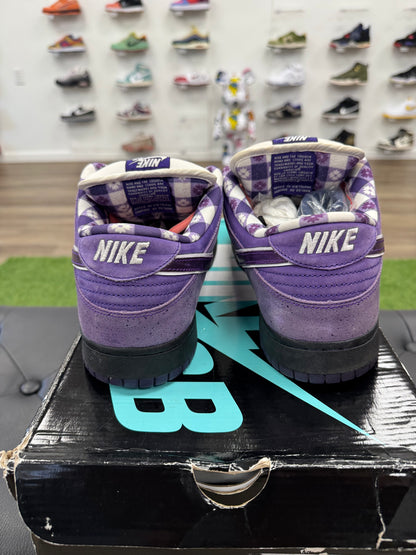 Nike SB Dunk Low Concepts Purple Lobster - Size 13 (U)
