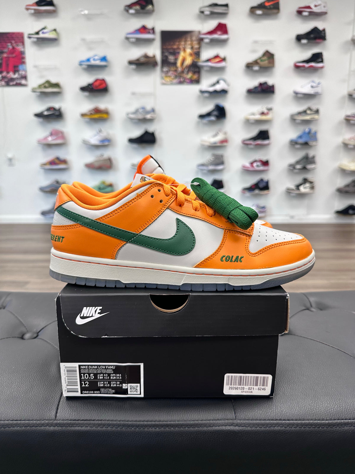 Nike Dunk Low FAMU