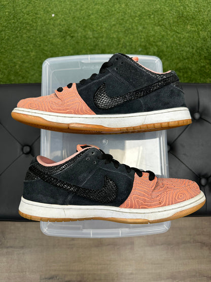 Nike SB Dunk Low Premier Fish Ladder