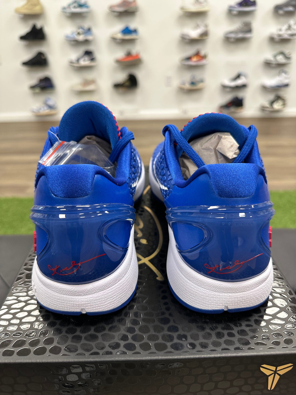 Nike Kobe 6 Protro Dodgers