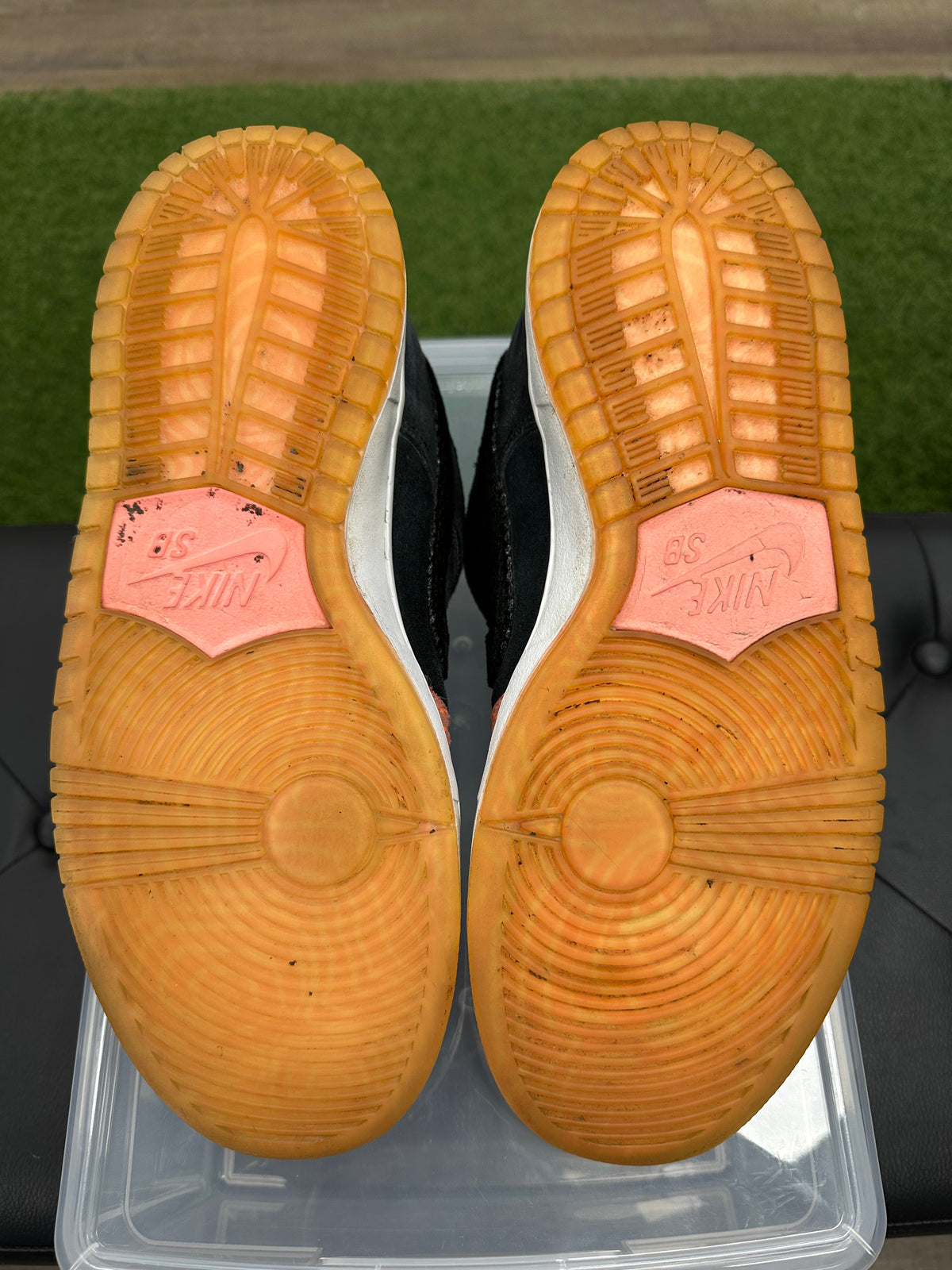 Nike SB Dunk Low Premier Fish Ladder
