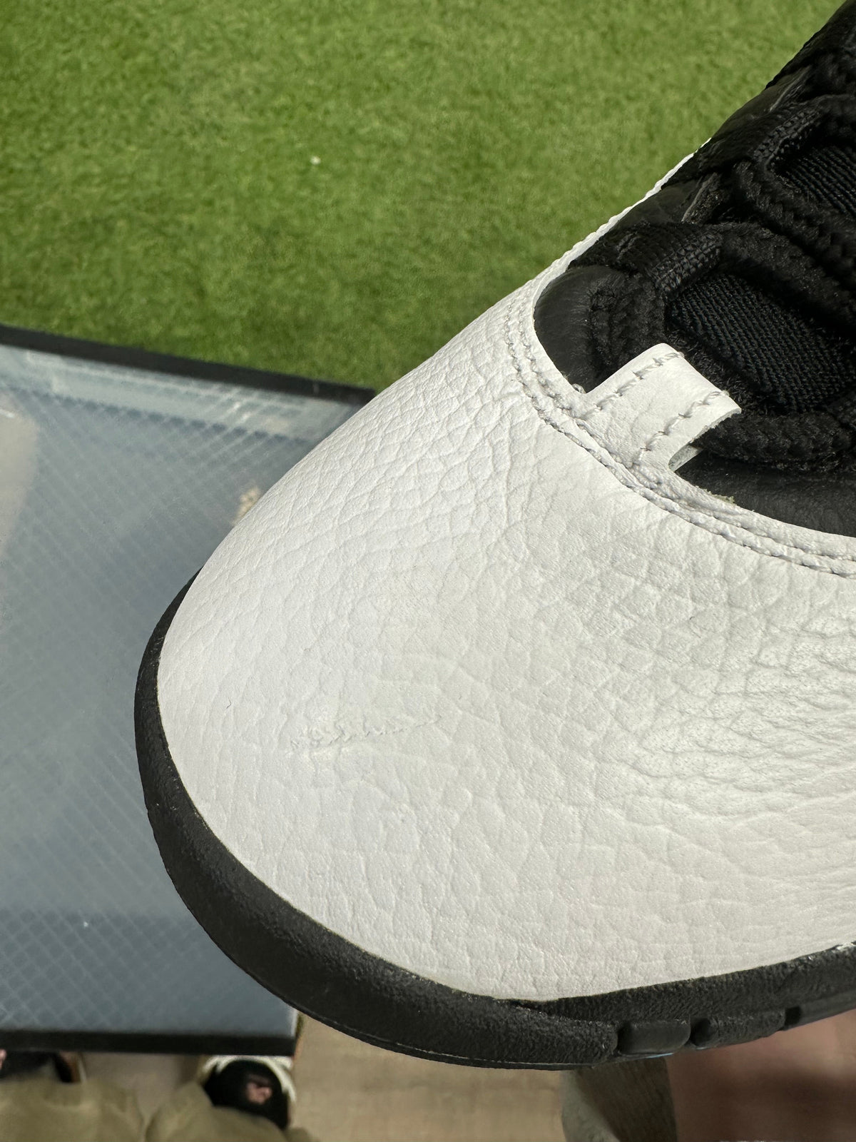Jordan 10 Retro Powder (2014)