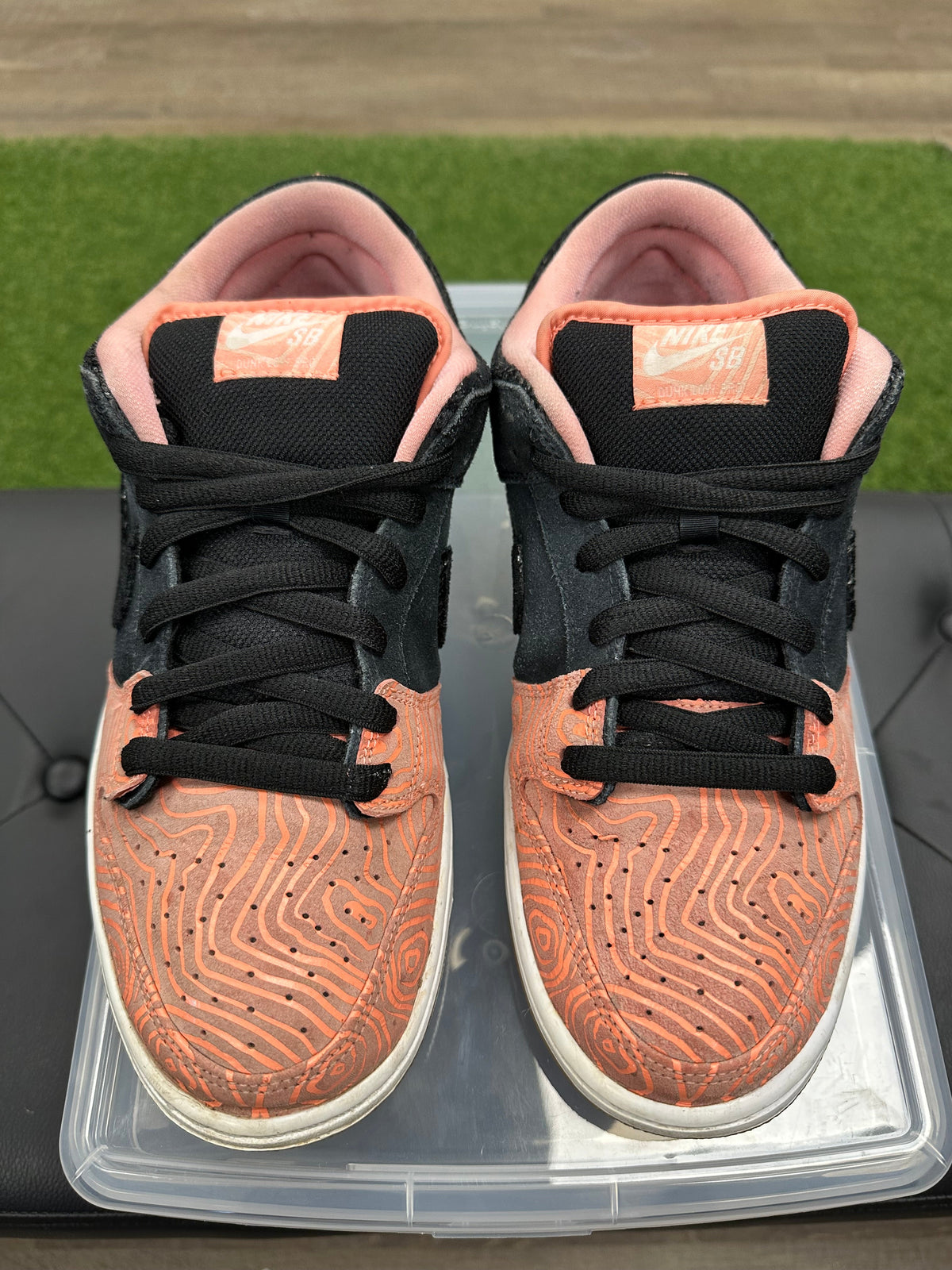 Nike SB Dunk Low Premier Fish Ladder