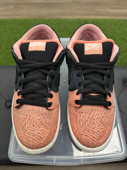 Nike SB Dunk Low Premier Fish Ladder