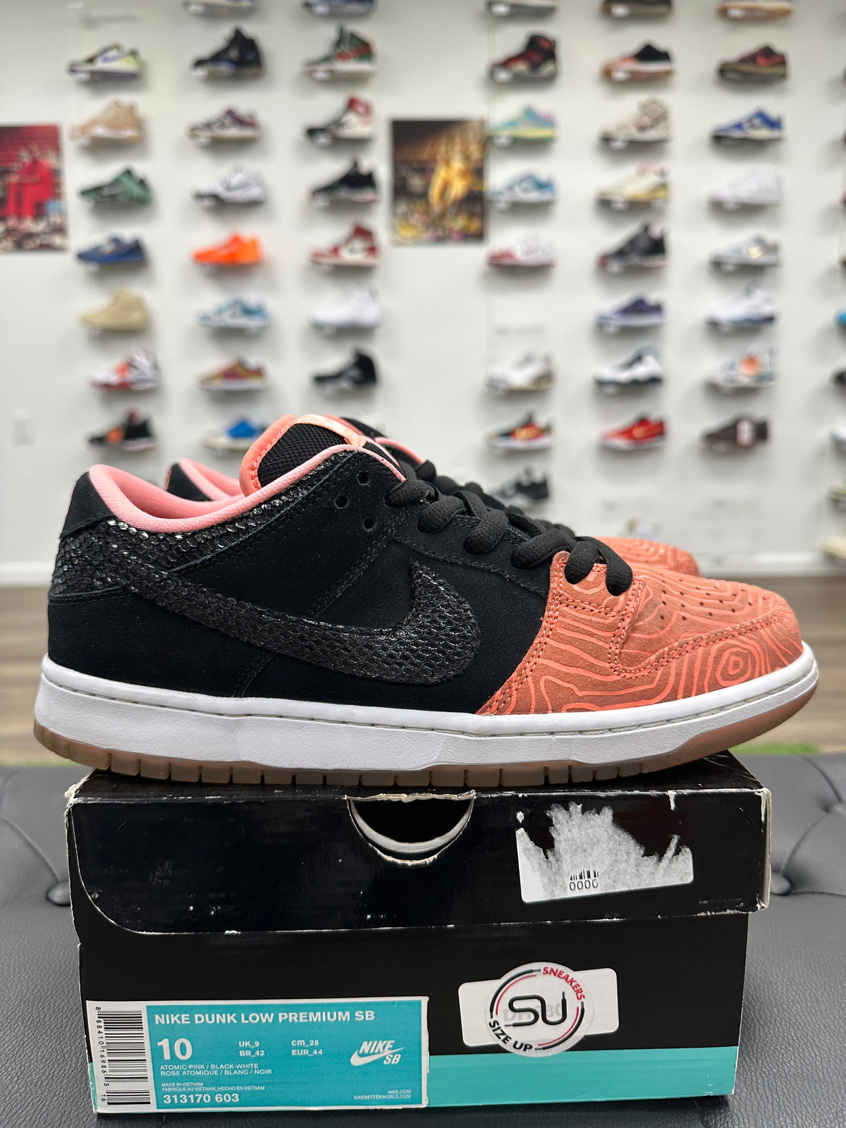 Nike SB Dunk Low Premier Fish Ladder